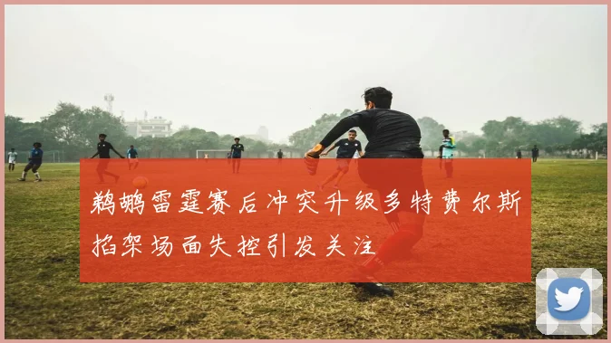 鹈鹕雷霆赛后冲突升级多特费尔斯掐架场面失控引发关注